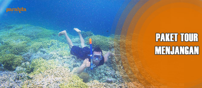 Pulau Menjangan Bali