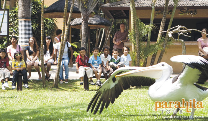 Bali Zoo