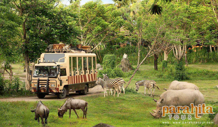 Bali Safari Marine Park